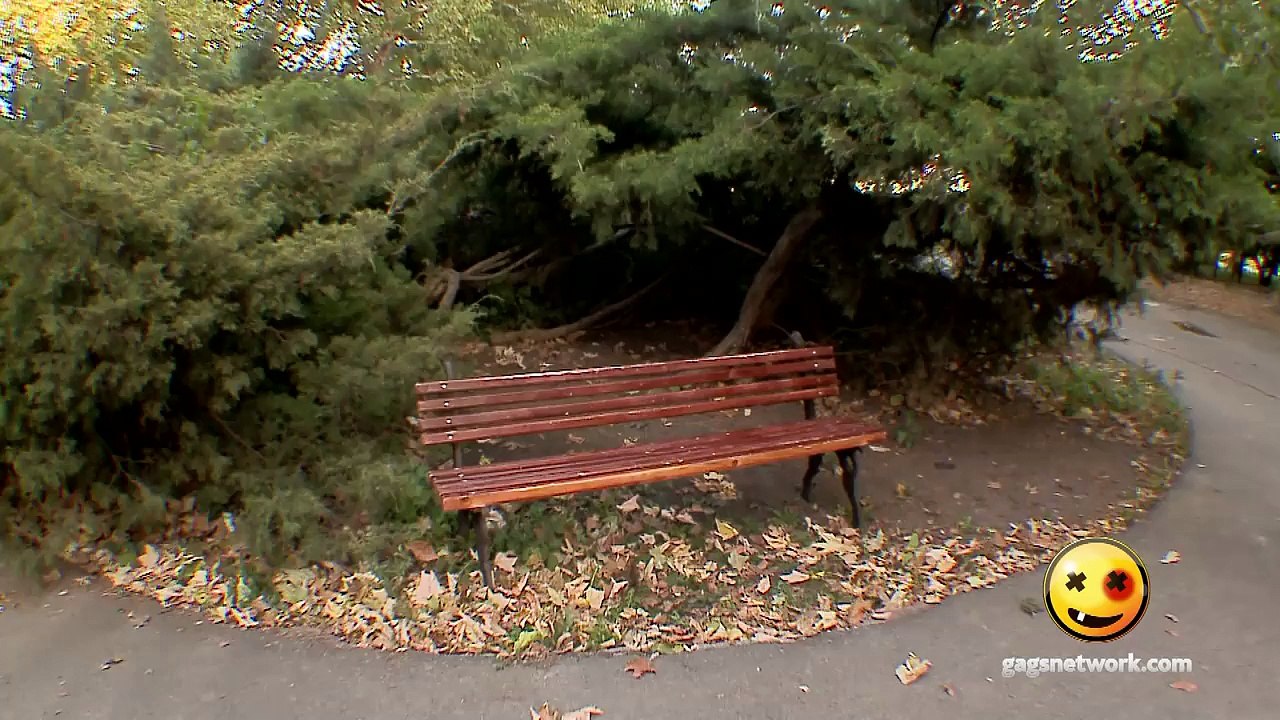 Park Bench Prank