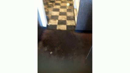 Sewage Backup Removal Oakland FL 407-218-5862