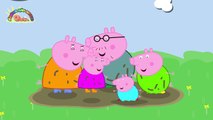 bambini Peppa pig finger family Animal finger family Finger family Daddy finger niñas