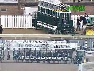 Horse racing oddity