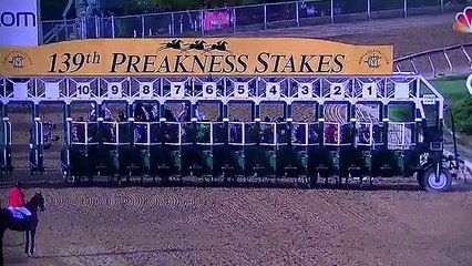 Preak ness  Horse