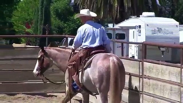 Reined Cow Horse-Cow