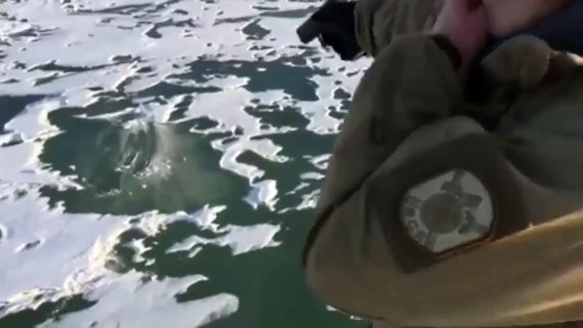 Как ведет себя пуля после выстрела в лед