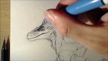 Feathered Raptor Time Lapse Full Tutorial Coming Soon
