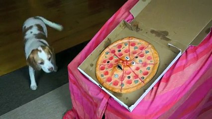 Dogs vs. Talking Pizza Prank- Funny Dogs Maymo & Penny