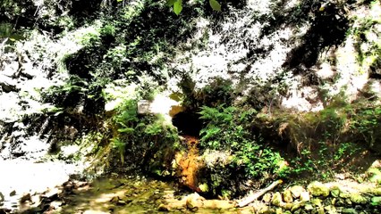 Devils Town- Djavolja Varos