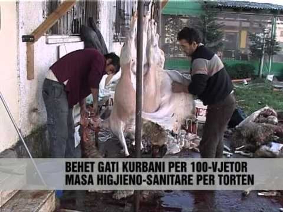 Festa, theren 1 mije qengja - Vizion Plus - News - Lajme