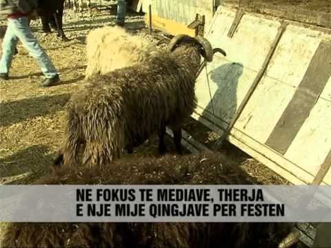 Mediat e huaja për festen - Vizion Plus - News - Lajme