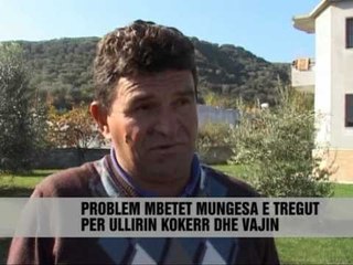 Elbasan, ullinjtë në superprodhim - Vizion Plus - News - Lajme