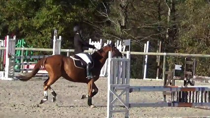 2015-11-22 - VEC - Club 1 - Leopoldine