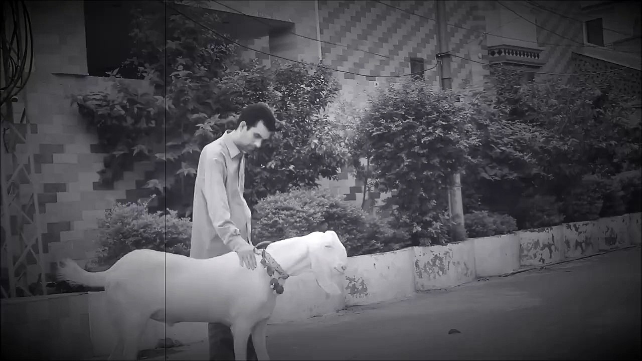 Eid Day Back then / Now (2015) By Zee