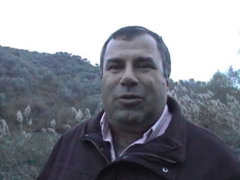 DY KOMUNA NE FIER PREJ TRE DITESH PA ENERGJI ELEKTRIKE QINDRA BANORE LAJM