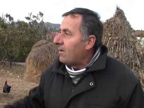 GJELI I DETIT FERMERET E PEQINIT NISIN PERGATITJET PER FESTAT LAJM