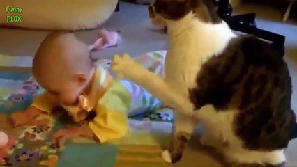 Cute Cats and Dogs Love Babies Compilation 2014 [HD]