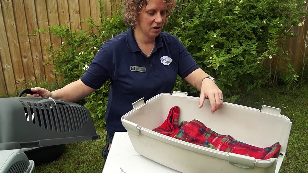 Ash Veterinary Surgery