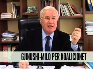 Gjinushi-Milo për koalicionet - Vizion Plus - News - Lajme