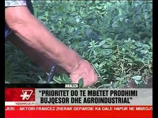 News Edition in Albanian Language - Vizion Plus - 2013 January 14 - 15:00