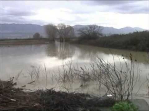 MOTI I KEQ NE VEND PERMBYTJE NE KRUJE, VONESA TRAGETESH NE PORTIN E DURRESIT LAJM