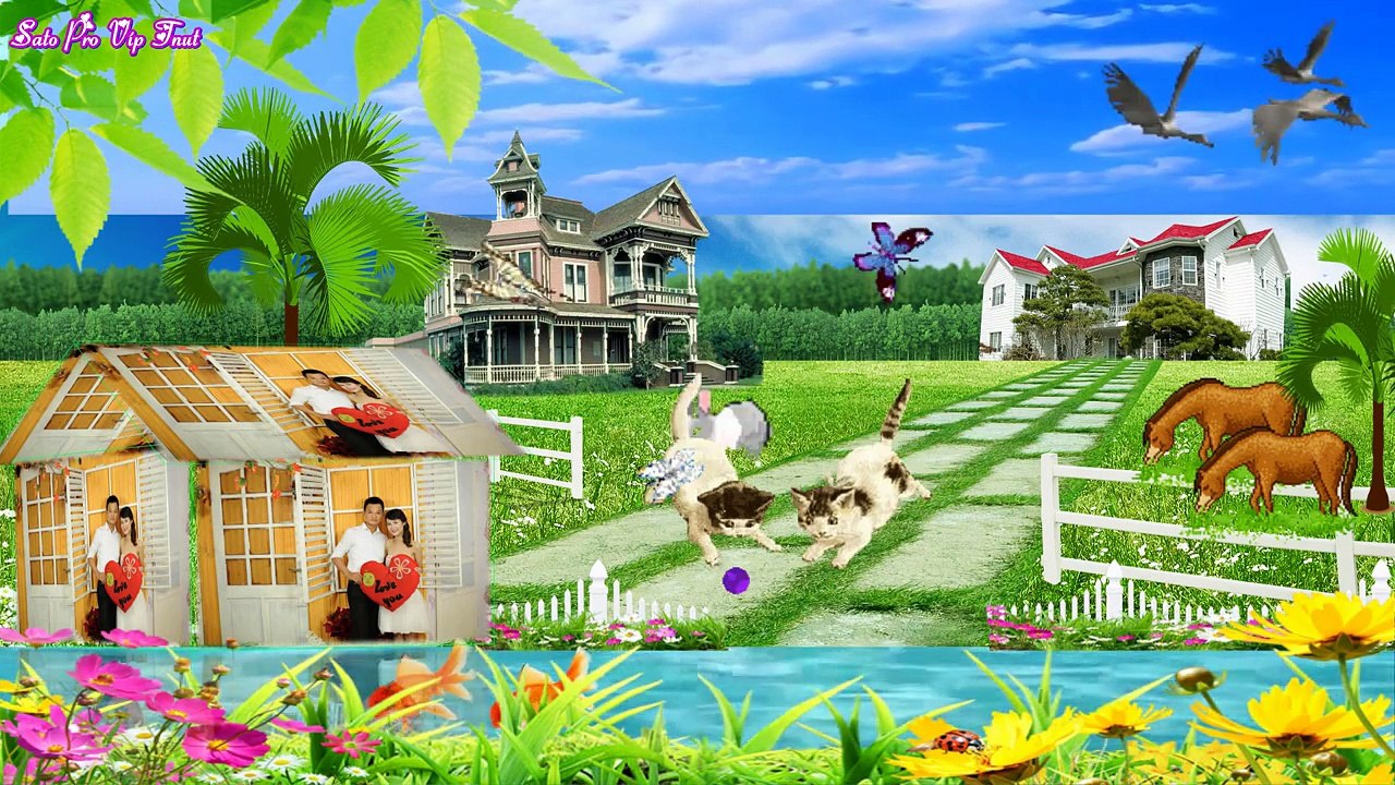 Liên khúc nhạc đám cưới hay nhất cho ngày hạnh phúc !