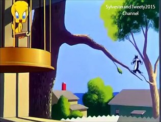 Sylvester and Tweety in AINT SHE TWEET Part 1
