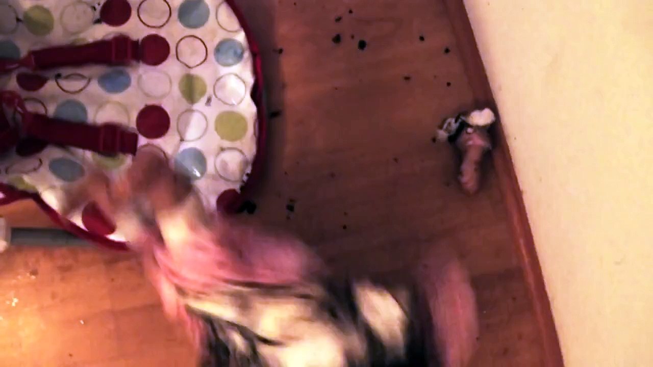 Seven Ways to Discipline Your Child | MisterEpicMann