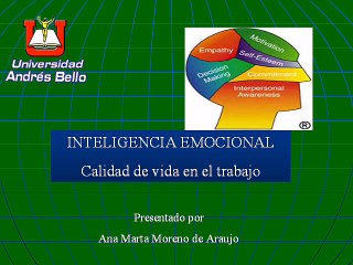 INTELIGENCIA EMOCIONAL. SAN MIGUEL EMPRESAS