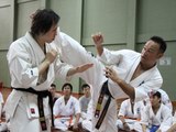 Lecciones de Karate Kyokushin