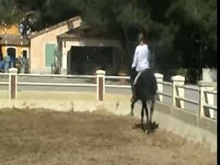 Avec un cheval de Max