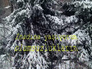 ŞİİR: BİR ANDA VE BİR YERDE (BOJİDAR ÇİPOF)