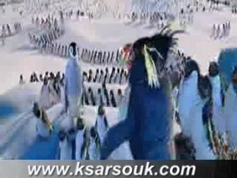 errachidia tarjama beldi ksarsouk.com