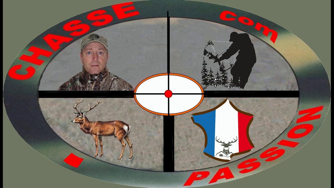 chasse a l'arc biche