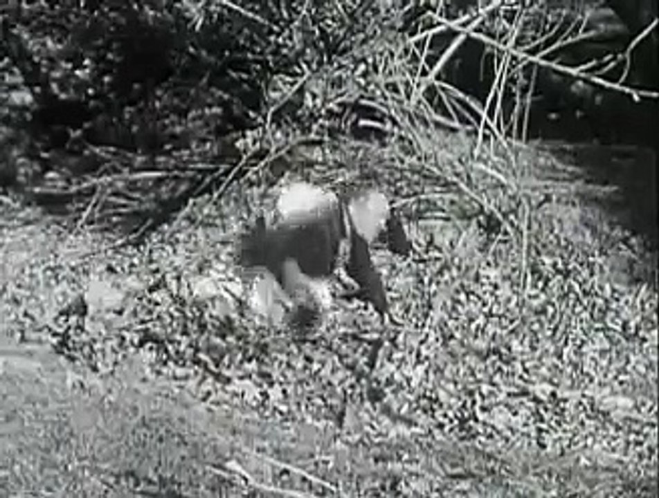 Last of the Warrens (1936) Full Length Classic Western