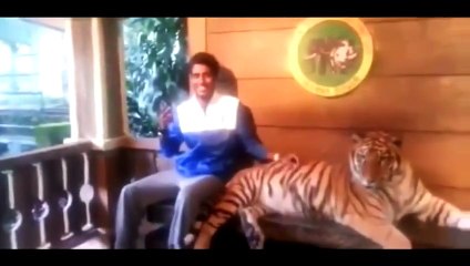 #16 Lustige Videos Лучшие приколы 2015 (Funny, fail compilation) 楽しい 2015 面白い動画 // 不覚にも笑って