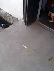 Funny Kids - How to Open a Snack