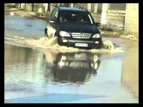 MOTI I KEQ-SHIRAT E RREMBYER RIKTHEJNE PERMBYTJET NE KURBIN-LAJM
