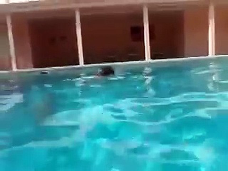 Маленькая девочка плавает под водой, как рыба! Жесть