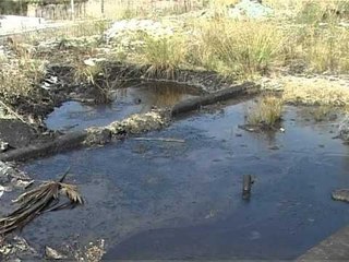 BIE PRODHIMI I NAFTES-SHKAK  PAKESIMI I VENDBURIMEVE DHE KEQMENAXHIMI-LAJM