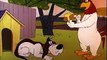 Foghorn Leghorn Daffy Duck-The High And The Flighty