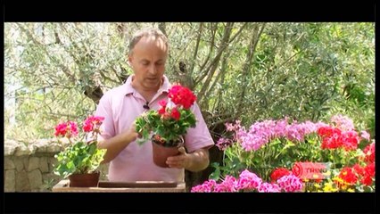 Kopshti Living (Mullaga) - Episodi 1 (Sezoni 1)