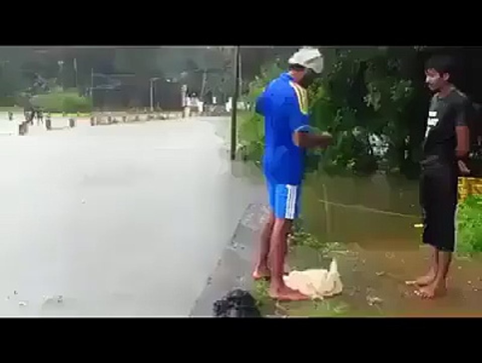 Funny Videos : Throw a net