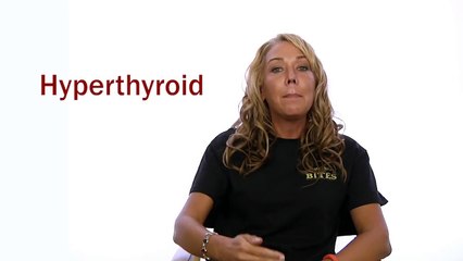 Pet X Talks - Dr. Karen Becker - Pillars of Pet Health - A Balanced Resilient Immune Syste