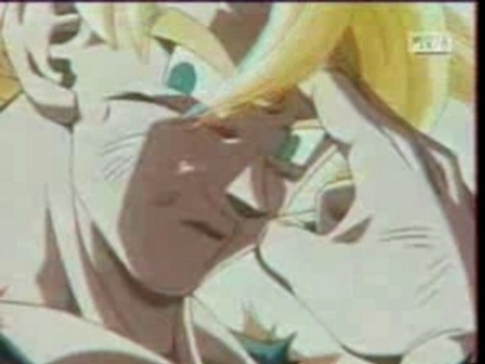 L'inoubliable Heros Sangoku  ....