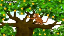 Tale Toons - The Monkey And The Crocodile ( Telugu ) (720p)