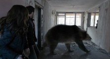 Chernobyl Diaries Full Movie™