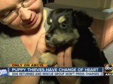 Stolen puppy returned back hours later