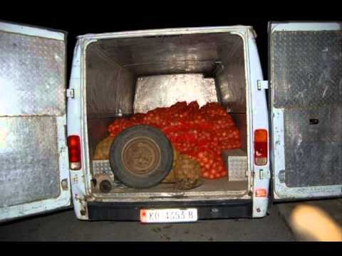 SEKUESTROHET DROGE-AKSIONE TE NDRYSHME TE POLICISE KAPIN MIJERA KG HASHASH-LAJM