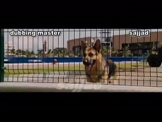 Latest Funny Video With Dogs Punjabi Dubbing With Dog- my bunny bugs-Dailymotion