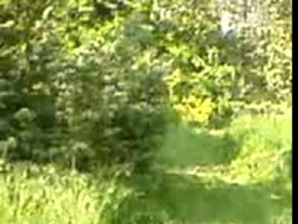 Mini moto Mehdi Felix Kiko 1