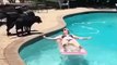 dog jumps on sexy girl in swimming pool whatsapp video