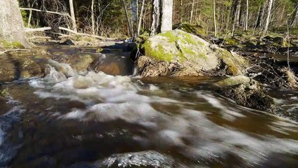 Ashish Dewan- Finish Nature Timelapse